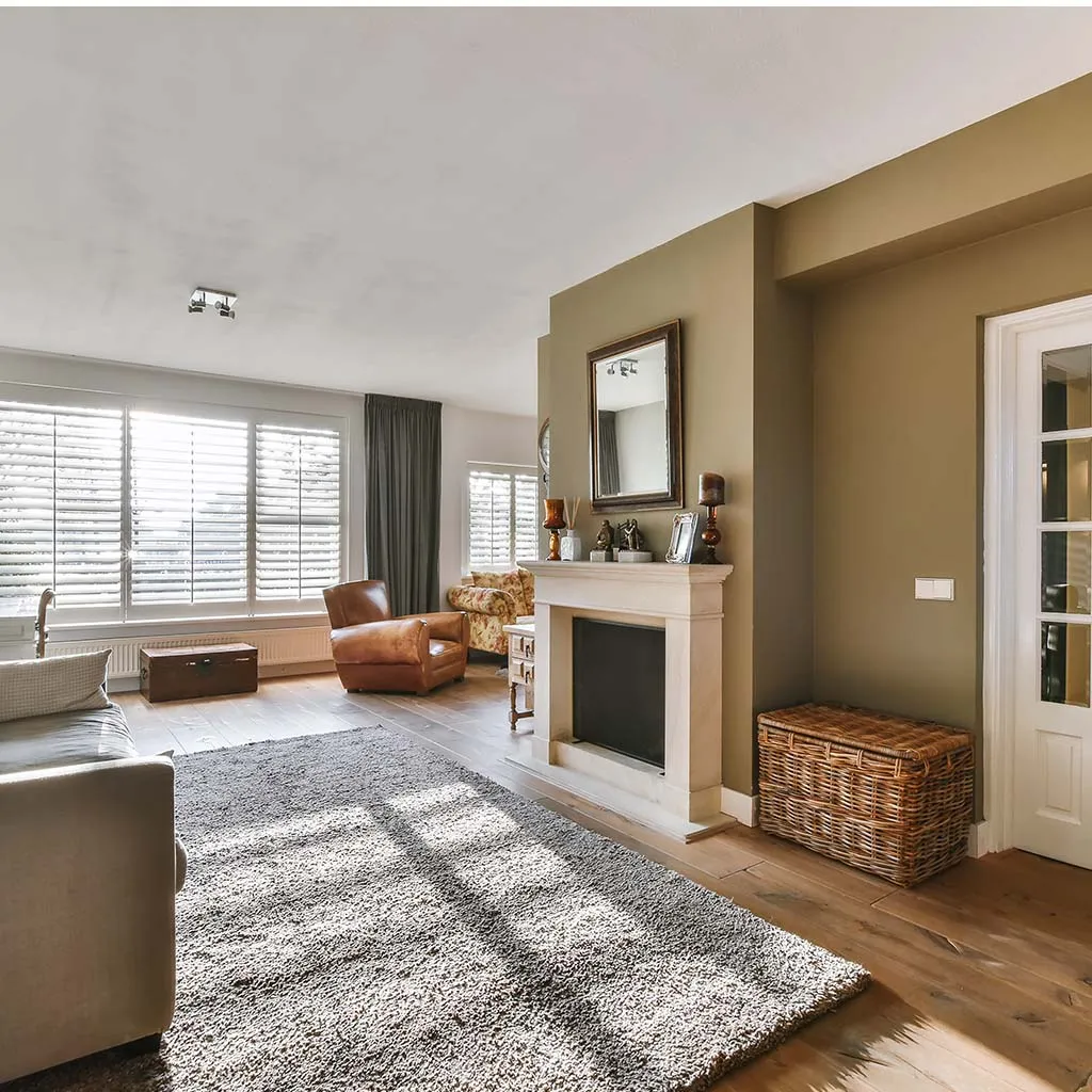Cozy living room with fireplace and clean rug