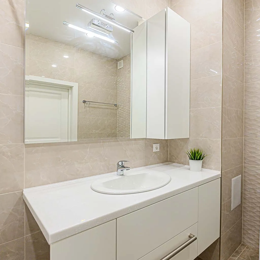 Modern bathroom vanity with a green plant